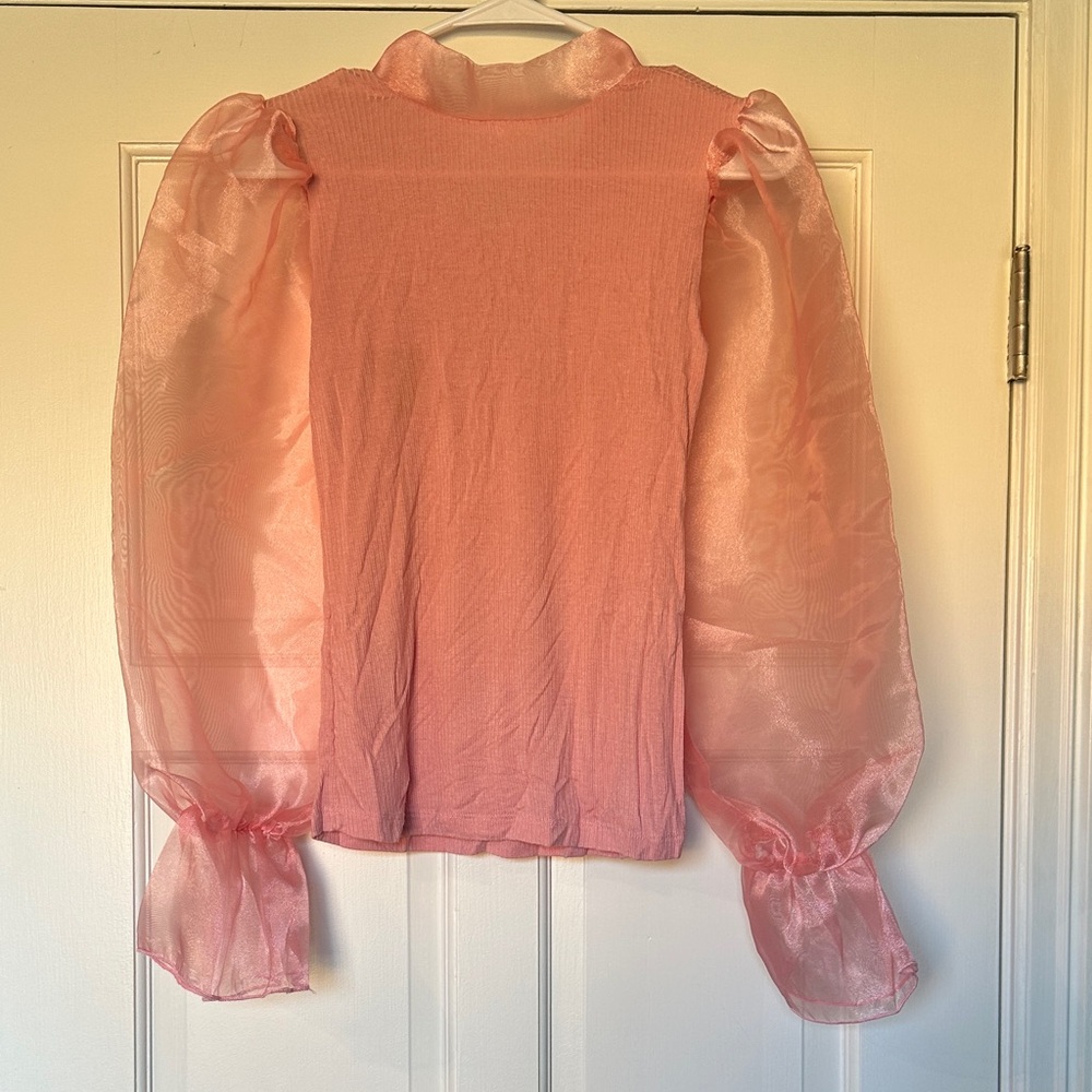 Sheer Puff-Sleeve Pink Blouse with High Neck